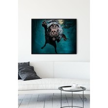 Kazan Hobi Postermanya (PSTER14010) Yüzen Köpek Eğlenceli Mizahi Çerçeveli Tablo (50X70CM)