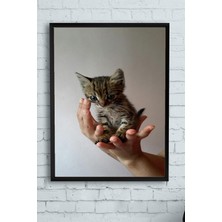Kazan Hobi Postermanya (PSTER11552) Kedi Hayvan Çerçeveli Tablo 4 (21X30CM)