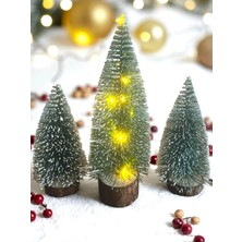 Kazan Hobi 1 Adet 20 cm Kendinden Gün Işıklı + 2 Adet 15 cm Yılbaşı Çam Ağacı