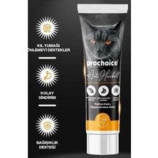 Prochoice Anti Hairball 100 ml Malt Kedi Macun