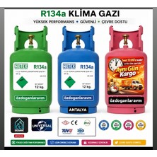Dogant R134 Soğutucu Gaz 12 kg
