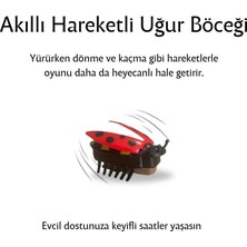 Glipet Uğur Böceği Kedi/köpek Oyuncağı