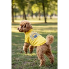Miniş One-In-A-Minion Küçük Irk Köpek Pike Kumaş Polo T-Shirt