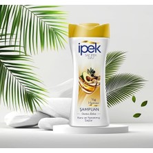 Yağ Hazinesi Şampuan 480 ml