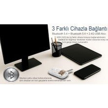 Inca IWM-242KT Çift Mod Şarj Edilebilir Kedi Desenli Sessiz Mouse, Bluetooth 5.4 + 2.4g, 500MAH, 70G, Beyaz