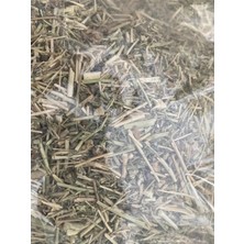 Altın Gıda 45 100 gr Çoban Çökerten Otu Kurusu – Tribulus Terrestris – Bitki Çayı
