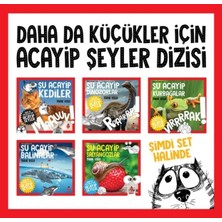 Elivora Daha Da Küçükler Icin Acayip Seyler Seti 1 (5 )