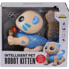 Valor 5135 Sun-Rst-Rc Robot Akilli Kedi̇ Ff Sesli̇ 3 7 USB 2r