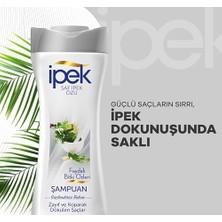 Faydalı Bitki Özleri Şampuan 480 ml