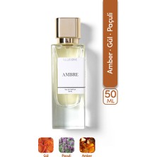 ILLUSIONE Ambre EDP Kadın Parfüm 50ml | Amber-Paçuli-Gül | Bergamot, Sedir, Karanfil, Vetiver