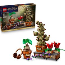 Valor 76474 LEGO Harry Potter Hogwarts Bilim Leri 817 Parça +12 Yaş
