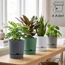 ToXA 4 Adet 5 Litre Begonya Saksı Seti 21cm Mat Plastik Drenajlı Tabaklı Çiçek Saksısı Set
