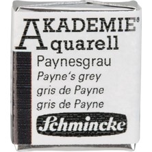Aquarell Yarım Tablet Sulu Boya 770 Payne S Grey