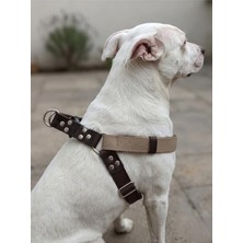 Köpek Göğüs Tasması Büyük & Dev Irk Ayarlamalı Kolon Kordon ve Nubuk Deri Kahverengi & Vizon
