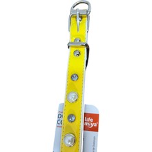 Glipet  Sarı Incili Destekli Boyun Tasması 2X40 cm