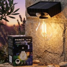 Eco Lounge Solar Sensörlü LED Ampul Lamba - Güneş Enerjili - Dış Mekan Aydınlatma