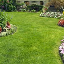 İNTFA Çim Tohumu 3 Mix Grass Karışımı - 10 kg