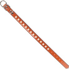 Glipet  Turuncu Incili Destekli Boyun Tasması 2X40 cm