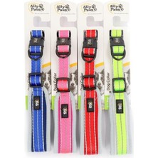 Glipet Allypaws Dog Cllar Large Boyun Tasması 2,5CM*40-60CM