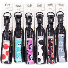 Glipet Allypaws Dog Collar Desenli Boyun Medium Tasması 2CM*35-50CM