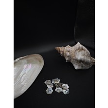 Nesgo Moda Doğal Papatya Düğme Seti (12 Adet/24 Boy 1.5 Cm)