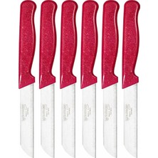 Solingen 6'li Tırtıklı Meyve Bıçağı Seti, Paslanmaz Çelik, Ergonomik Kaymaz Sap, Ultra Keski