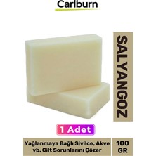 Floranova Doğal Güzel Kokulu El Yüz Saç Vücut Cilt Onaran Kolajen Etkili Salyangoz Bitkisel Sabun 1 Adet