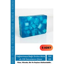 Floranova #sabun Bitkisel %100 Doğal Güzel Kokulu El Yüz Saç Vücut Cilt Orijinal Kolojen Sabunu 100G - 5 Adet