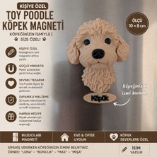 Moodmaker Store Kişiye Özel Toy Poodle Köpek Magneti – Köpeğinizin Ismi Yazılı Dekoratif Buzdolabı Magneti – Sevimli Köpek Figürü