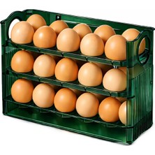 Microcase Sert Abs Plastik Dolapiçi Yumurta Organizer ve Standı Kapaklı Tasarım AL5453 (Yeşil)