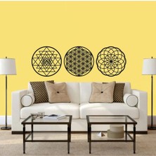 Karakoç Eğitim Araçları Yaşam Çiçeği Torus Sriyantra Shriyantra Torus Nefesi Kutsal Geometri