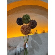 Ekodoğa Yapay Allium Çiçek, 4 Adet, 70 Cm, Çok Renkli