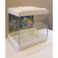 Empressco Mini Akvaryum 20CM Beyaz