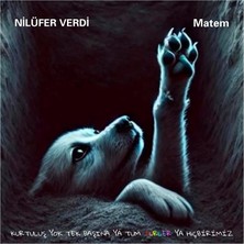 Teknopal Nilüfer Verdi / Matem (Plak)