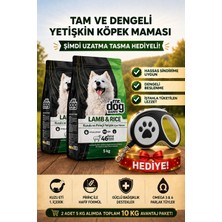 Mr. Dog Happy Sensitive Kuzu Etli ve Pirinçli Yetişkin Köpek Maması 2 x 5 kg (Toplam 10 Kg) -Şimdi Uzatma Tasması Hediye!