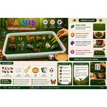 Calais Keşif Serisi – Montessori Duyusal Oyun Seti - Orman Hayvanları