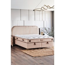 Line Visco Lüks Yatak Baza ve Başlık Seti 140x190 cm Çift Kişilik Yatak, Baza ve Başlık Takımı Krem