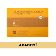 Suluboya Akademi Blok Defteri (Rough) 53X38CM, %100 Pamuk, 300GR (20 Yaprak)
