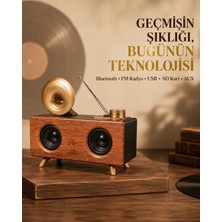 Tekn Çift Hoparlörlü Retro Bluetooth Speaker 1800MAH Bataryalı Aux USB Sd Kartlı Tekn Najmaddin