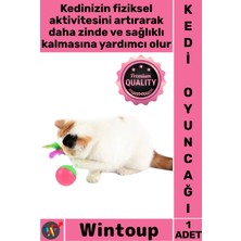 Wintoup #oyuncak Renkli Tüy Fareli Eğlenceli Hareketli Evcil Hayvan Zinde Tutan Kedi Fare Hacıyatmaz Oyunu