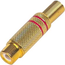 Mabelme Tos Fiş Dişi Gold Uzatma