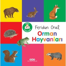 Lisinya Minik Kitaplarım – Orman Hayvanları