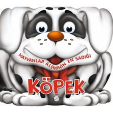 Lisinya Hayvanlar Aleminin En Sadığı: Köpek