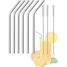 Mucit Home 9 Parça Paslanmaz Çelik Pipet Seti ve Çubuk Pipet Temizleme Fırçası