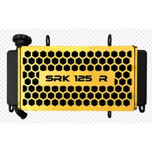 Ak Motors Rks Srk 125 R - Radyatör Koruma