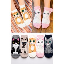 Worthy Socks 5'li Kedi Desenli Yüksek Kaliteli Renkli Patik Bilek Çorap