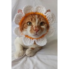 St. Morritz Papatya Bandana Çiçek Yazlık Örgü Kedi Köpek Şapkası Evcil Hayvan Şapkası Pet Aksesuarları