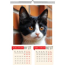 Genel Tedarik 2027 Kedi Duvar Takvimi A3 Ebat (29.7X42 Cm) Üstten Spiralli ve Askılı Inkjet Fotoğraf Kağıdına Baskılı