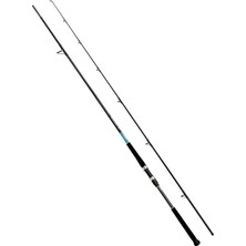 Shimano Bassterra Xt 305 cm 30-100 gr Shore Jig Kamışı