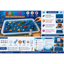 Calais Keşif Serisi – Montessori Duyusal Oyun Seti - Deniz Canlıları